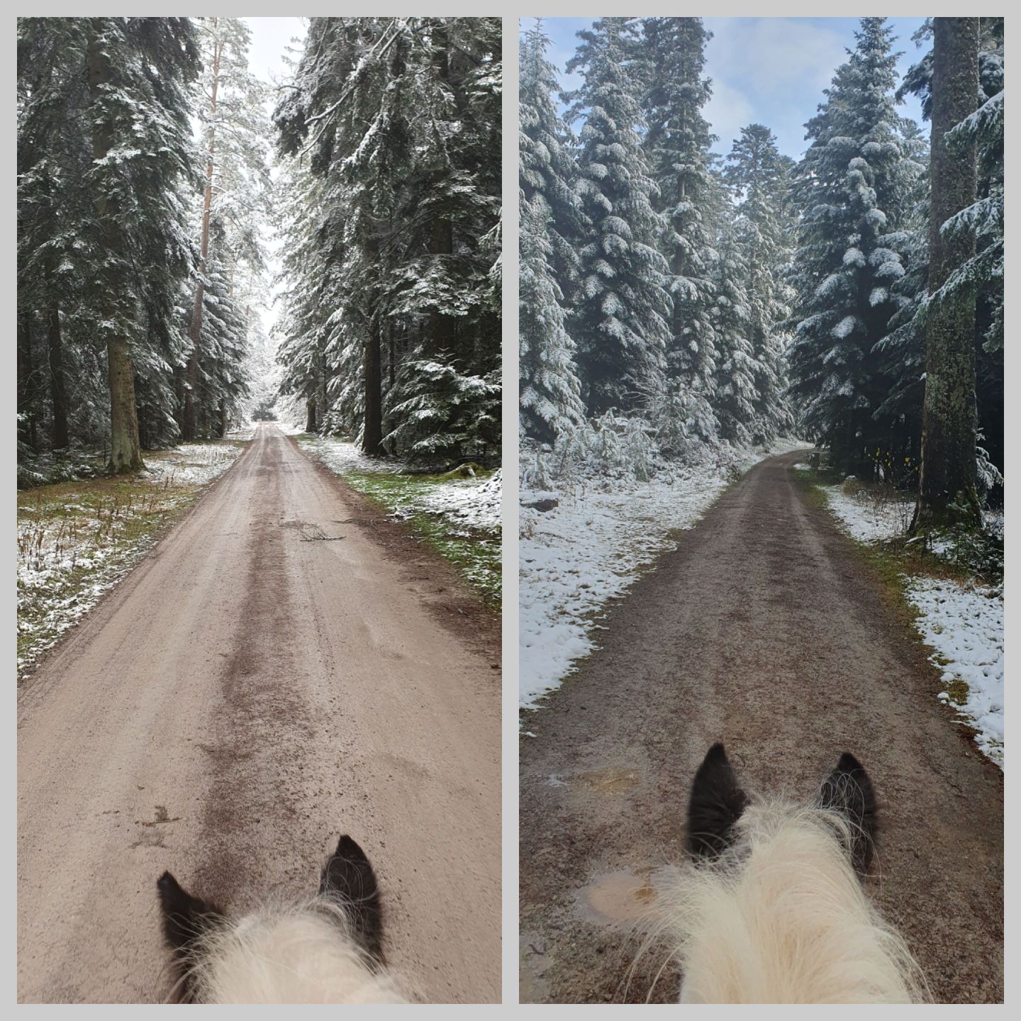 2023 11 November 618